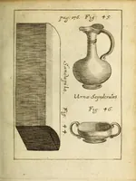 Picture 7 of 19 from Miscellanea Curiosa, sive Ephemiridum Medico-Physicarum Germanicarum Academiae Naturae Curiosorum (1688), leaf 245