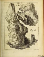An illustration from Miscellanea Curiosa, sive Ephemiridum Medico-Physicarum Germanicarum Academiae Naturae Curiosorum (1688)