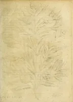 Picture 15 of 43 from Miscellanea Curiosa Medico-Physica Academiae Naturae Curiosorum (1677), leaf 178