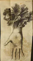 Picture 4 of 43 from Miscellanea Curiosa Medico-Physica Academiae Naturae Curiosorum (1677), leaf 25