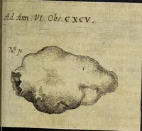 Picture 21 of 43 from Miscellanea Curiosa Medico-Physica Academiae Naturae Curiosorum (1677), leaf 318