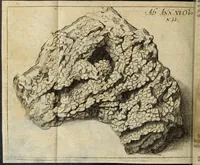An illustration from Miscellanea Curiosa Medico-Physica Academiae Naturae Curiosorum (1677)