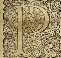 An illustration from Miscellanea Curiosa Medico-Physica Academiae Naturae Curiosorum (1677)