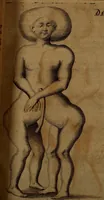 Picture 9 of 43 from Miscellanea Curiosa Medico-Physica Academiae Naturae Curiosorum (1677), leaf 76