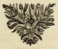 Picture 3 of 14 from Miscellanea Curiosa, sive Ephemiridum Medico-Physicarum Germanicarum Academiae Naturae Curiosorum (1678), leaf 15