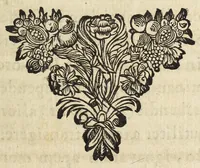 An illustration from Miscellanea Curiosa, sive Ephemiridum Medico-Physicarum Germanicarum Academiae Naturae Curiosorum (1678)