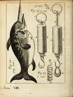 Picture 7 of 15 from Miscellanea Curiosa, sive Ephemiridum Medico-Physicarum Germanicarum Academiae Naturae Curiosorum (1690), leaf 356