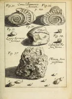 An illustration from Miscellanea Curiosa, sive Ephemiridum Medico-Physicarum Germanicarum Academiae Naturae Curiosorum (1690)