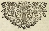 An illustration from Miscellanea Curiosa, sive Ephemiridum Medico-Physicarum Germanicarum Academiae Naturae Curiosorum (1690)