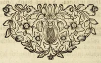 An illustration from Miscellanea Curiosa, sive Ephemiridum Medico-Physicarum Germanicarum Academiae Naturae Curiosorum (1690)