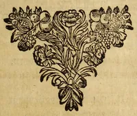 Picture 1 of 12 from Miscellanea Curiosa, sive Ephemiridum Medico-Physicarum Germanicarum Academiae Naturae Curiosorum (1680), leaf 21