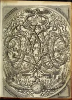 Picture 1 of 19 from Miscellanea Curiosa, sive Ephemiridum Medico-Physicarum Germanicarum Academiae Naturae Curiosorum (1691), leaf 11