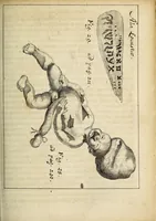 Picture 10 of 19 from Miscellanea Curiosa, sive Ephemiridum Medico-Physicarum Germanicarum Academiae Naturae Curiosorum (1691), leaf 261