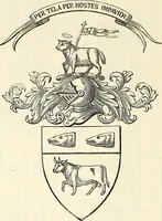 An illustration from Miscellanea genealogica et heraldica : (1874)