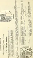 An illustration from Miscellanea genealogica et heraldica : (1874)