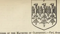 An illustration from Miscellanea genealogica et heraldica : (1877)