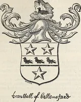 An illustration from Miscellanea genealogica et heraldica : (1877)