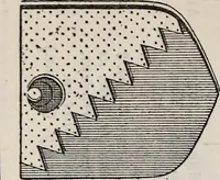 An illustration from Miscellanea genealogica et heraldica : (1877)