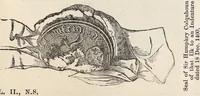 An illustration from Miscellanea genealogica et heraldica : (1877)
