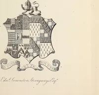 An illustration from Miscellanea genealogica et heraldica : (1881)