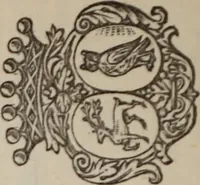 An illustration from Miscellanea genealogica et heraldica : (1883)