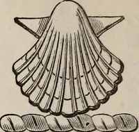 An illustration from Miscellanea genealogica et heraldica : (1883)