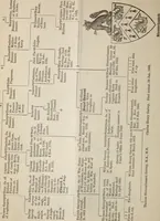 An illustration from Miscellanea genealogica et heraldica : (1883)