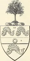 Picture 95 of 270 from Miscellanea genealogica et heraldica : (1868), leaf 299