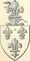 Picture 113 of 270 from Miscellanea genealogica et heraldica : (1868), leaf 338