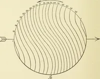An illustration from Miscellaneous papers (1896)