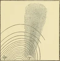 An illustration from Miscellaneous papers (1896)