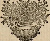 An illustration from Miscellaneous works, in verse and prose ... consisting of such as were never before printed in twelves. With some account of the life and writings of th author (1735)