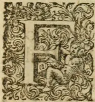 An illustration from Miscellany poems (1684)