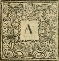 Picture 9 of 16 from Miscellany poems (1684), leaf 62