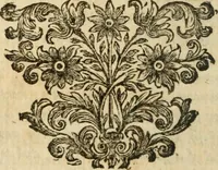 An illustration from Miscellany poems (1684)