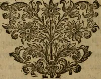 An illustration from Miscellany poems (1684)