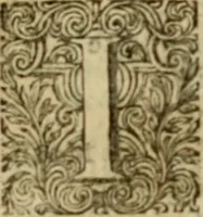 An illustration from Miscellany poems (1684)