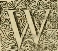 An illustration from Miscellany poems (1684)