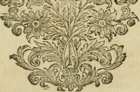 An illustration from Miscellany poems (1684)