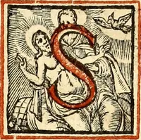 Picture 171 of 300 from Missale romanvm, ex decreto sacrosancti Concilij Tridentini restitum (1575), leaf 516
