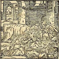 Picture 17 of 300 from Missale romanvm, ex decreto sacrosancti Concilij Tridentini restitum (1575), leaf 96