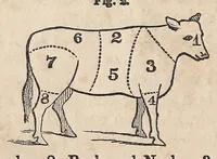 An illustration from Miss Beecher's domestic receipt book; designed as a supplement to her Treatise on domestic economy (1862)