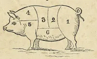 An illustration from Miss Beecher's domestic receipt book; designed as a supplement to her Treatise on domestic economy (1862)