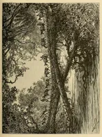 Picture 4 of 15 from Mission d'exploration du Haut-Niger: voyage au Soudan Français (Haut-Niger et pays de Ségou) 1879-1881 (1885), leaf 151