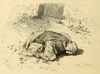 Picture 11 of 15 from Mission d'exploration du Haut-Niger: voyage au Soudan Français (Haut-Niger et pays de Ségou) 1879-1881 (1885), leaf 410