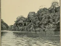 An illustration from Mission Hostains-d'Ollone, 1898-1900 : de la Côte d'Ivoire au Soudan et à la Guinée (1901)