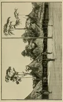 An illustration from Mission Hostains-d'Ollone, 1898-1900 : de la Côte d'Ivoire au Soudan et à la Guinée (1901)