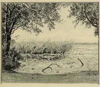 An illustration from Mission Hostains-d'Ollone, 1898-1900 : de la Côte d'Ivoire au Soudan et à la Guinée (1901)