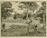 Picture 6 of 19 from Mission Hostains-d'Ollone, 1898-1900 : de la Côte d'Ivoire au Soudan et à la Guinée (1901), leaf 81
