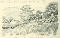 Picture 5 of 15 from Mission scientifique du Ka-Tanga : journal de route, section Moliro, M'pwéto, Ka-Béca, Lofoï, chutes Ki-Oubo (1902), leaf 100
